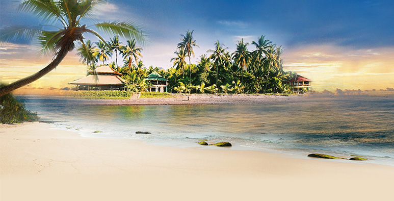 Seminare 2020 auf Bali mit Lex van Someren Seminare 2020 auf Bali mit Lex van Someren